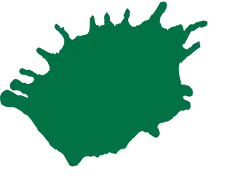 Kaktus-Grün